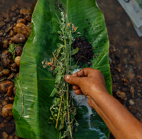 Ivarmadom, Ivar madom, Ivormadom contact number, Ivor madom contact number,ivor madom,Ivar madam,Ivor madam,Ivarmadam