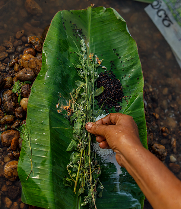 Ivormadom, Ivor madom, Ivarmadam, Ivar madam, Ivormadam, Ivor madam, Ivarmadom, Ivar madom, Ivormadom Contact Number, Ivor madom contact number,ivor madom cremation services in Kerala